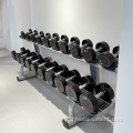 Ağırlıklar Eğitim PU kaplı dambıl spor salonu için fitness